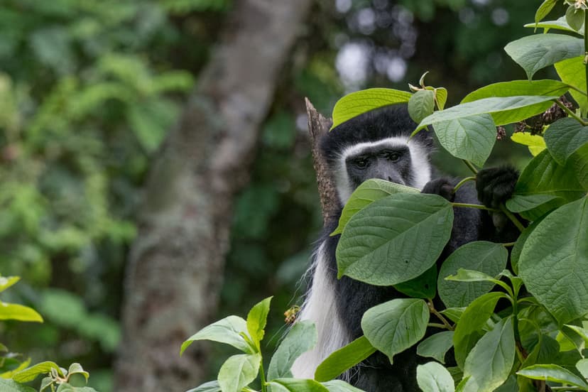 Ngorongoro landscape