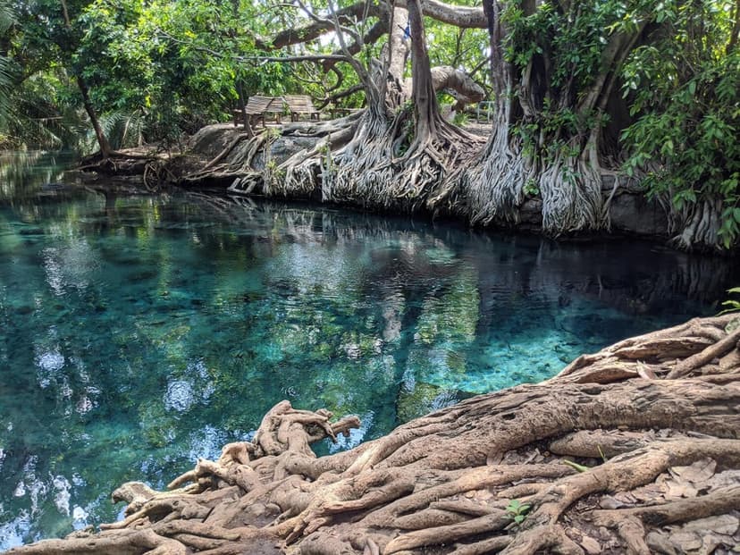Rope swing at Chemka