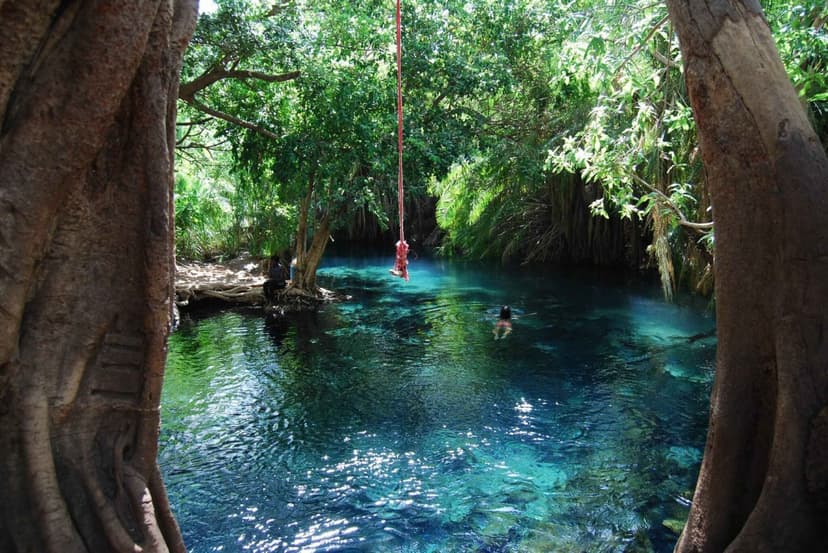Visitors swimming in the springs