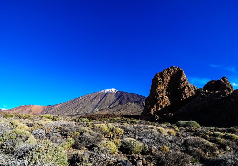 Kilimanjaro wildlife