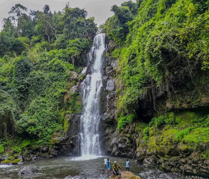 Hikers on Marangu Route