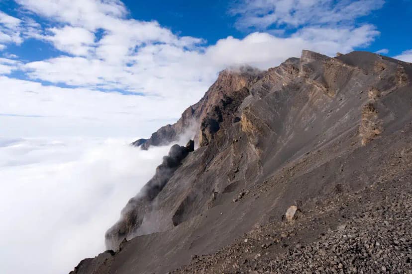 Rainforest trail on Mount Meru