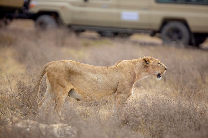 Ngorongoro landscape
