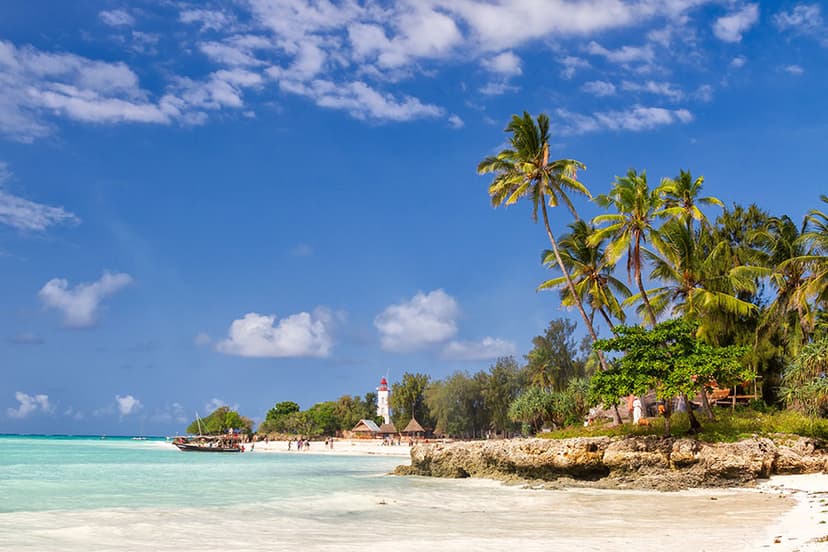 Traditional dhow cruise