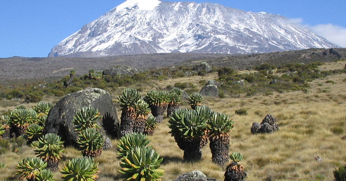 Highlands & Island Dreams: 11-Day Kilimanjaro & Zanzibar Tour 