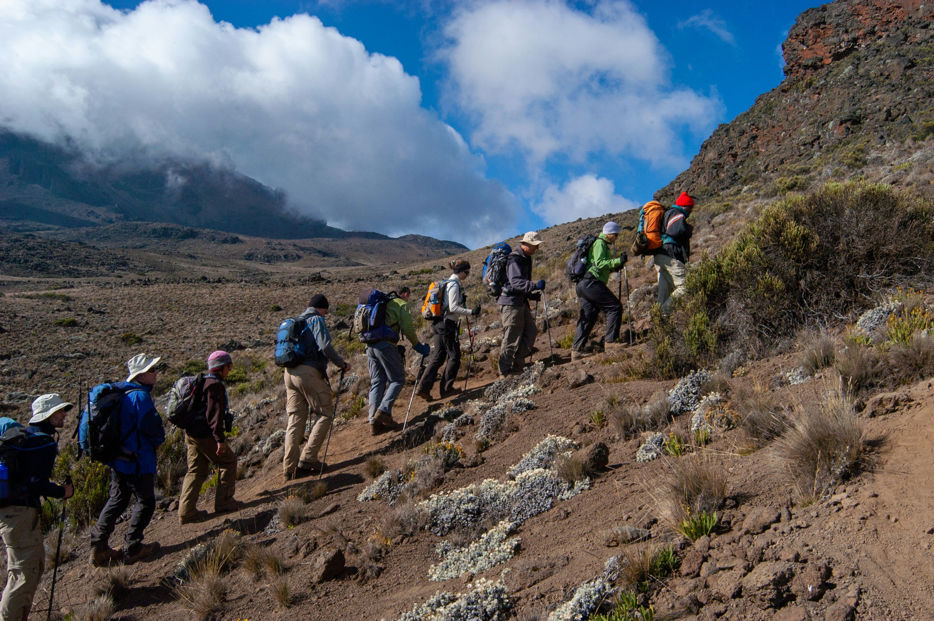 Kilimanjaro Porters: Essential Support for Your Climb