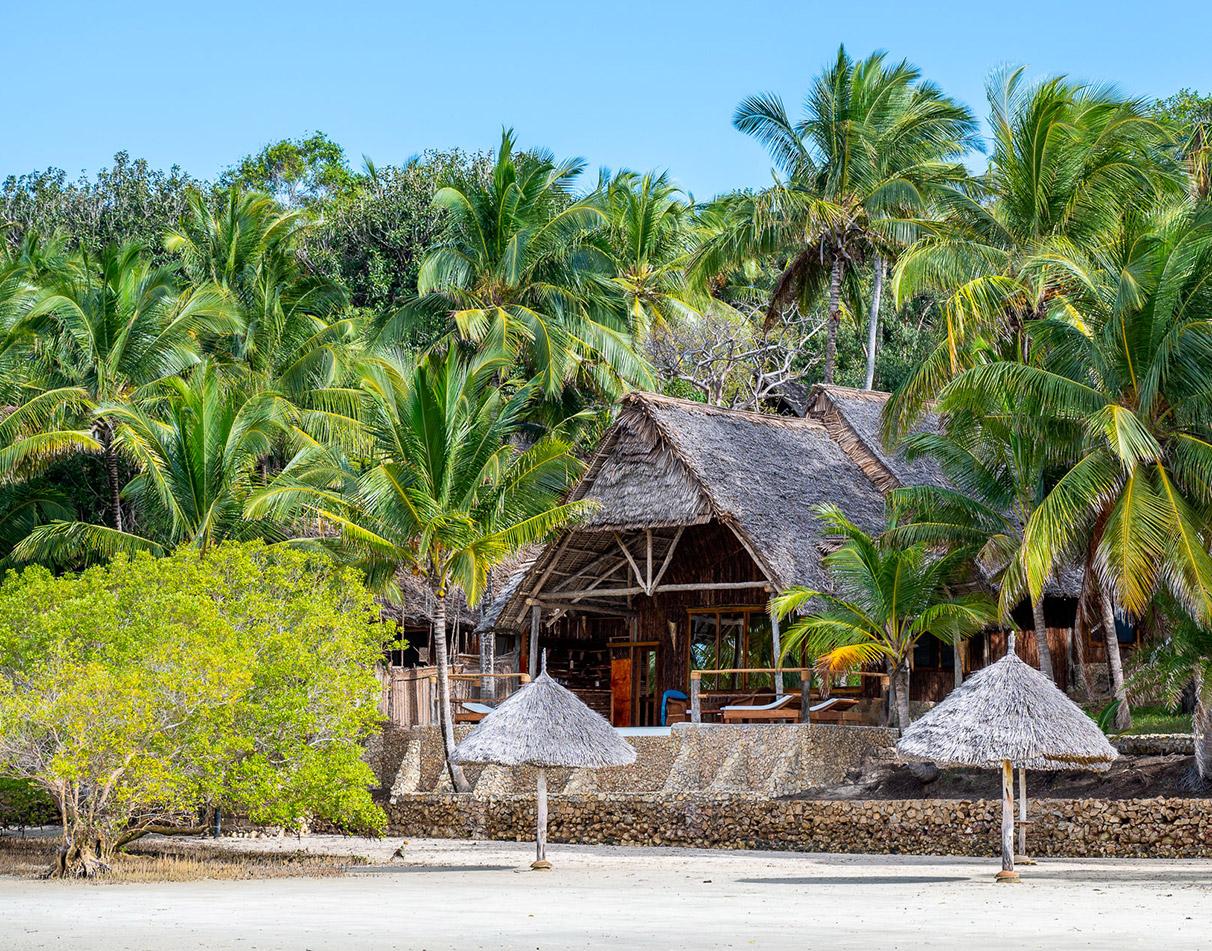 Mafia Island Marine Park