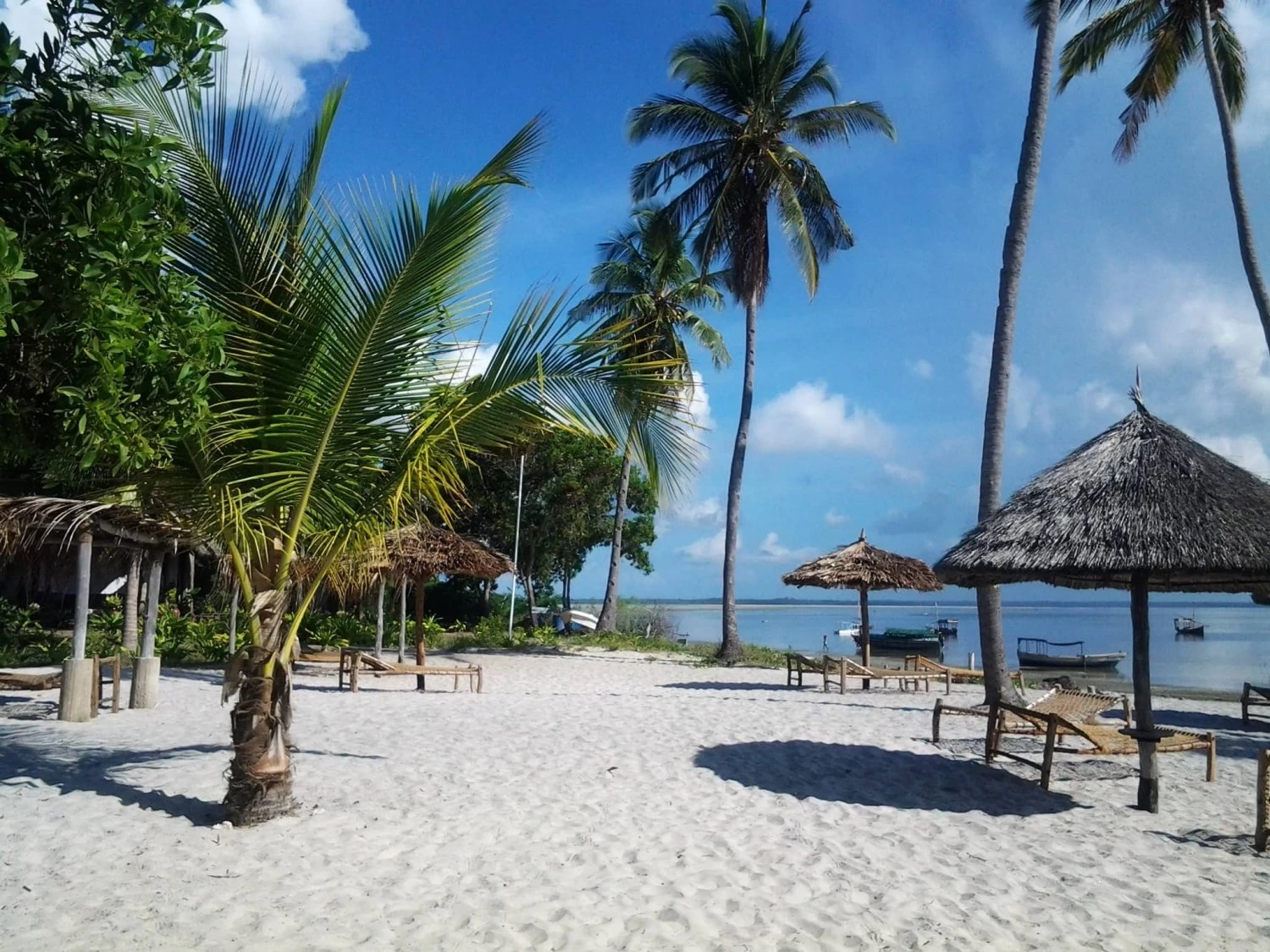 Mafia Island Marine Park