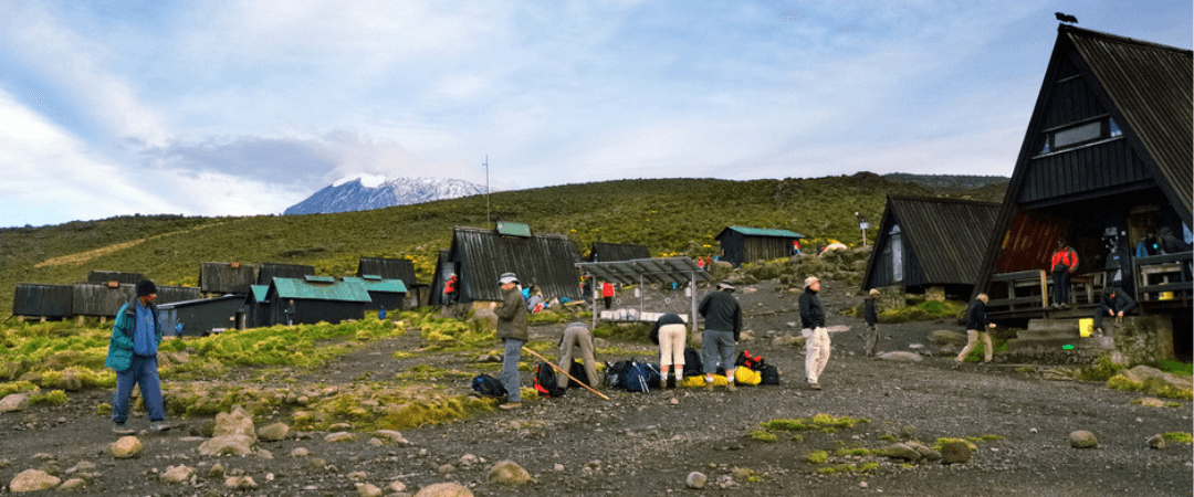 Acclimatize and conquer : 6 days Marangu route 