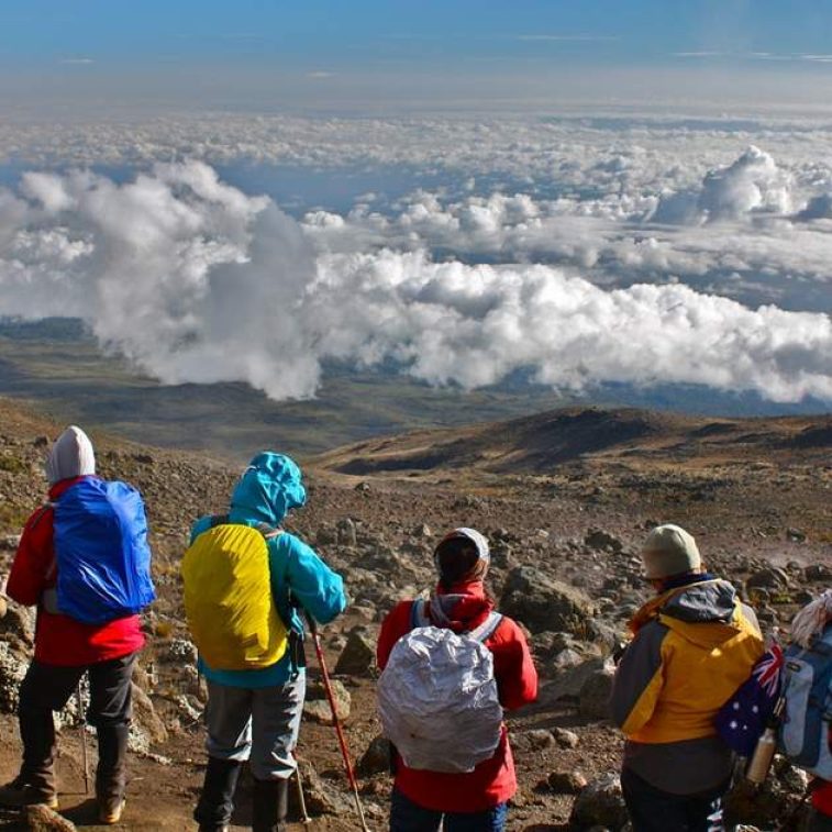 Whiskey trail to the summit : 7 days Machame route