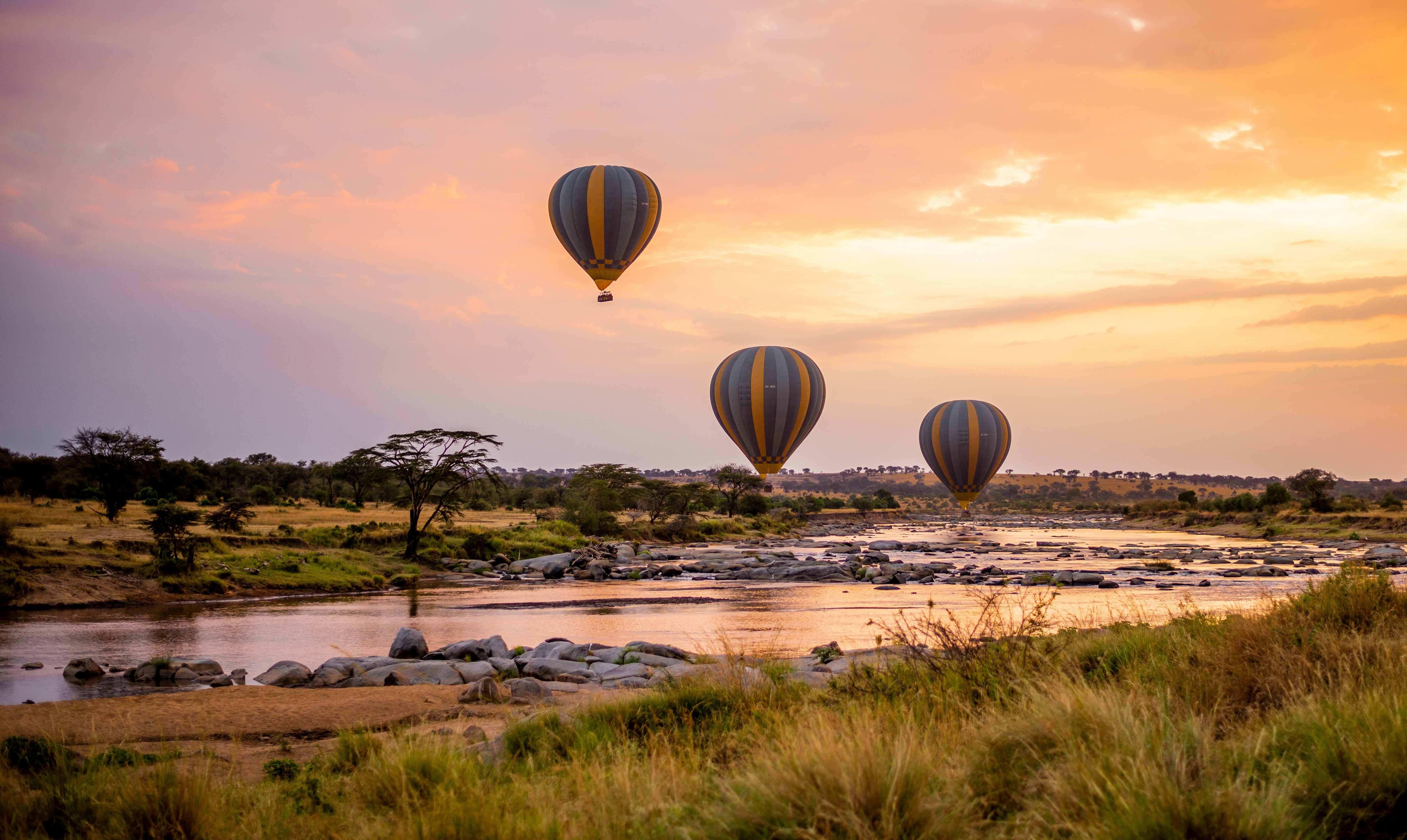 Short Serengeti, Tarangire & Ngorongoro Safari