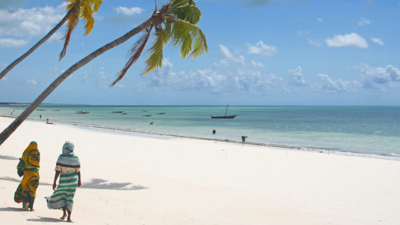 Swahili splendor : Zanzibar City 